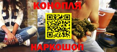 гашик Славгород
