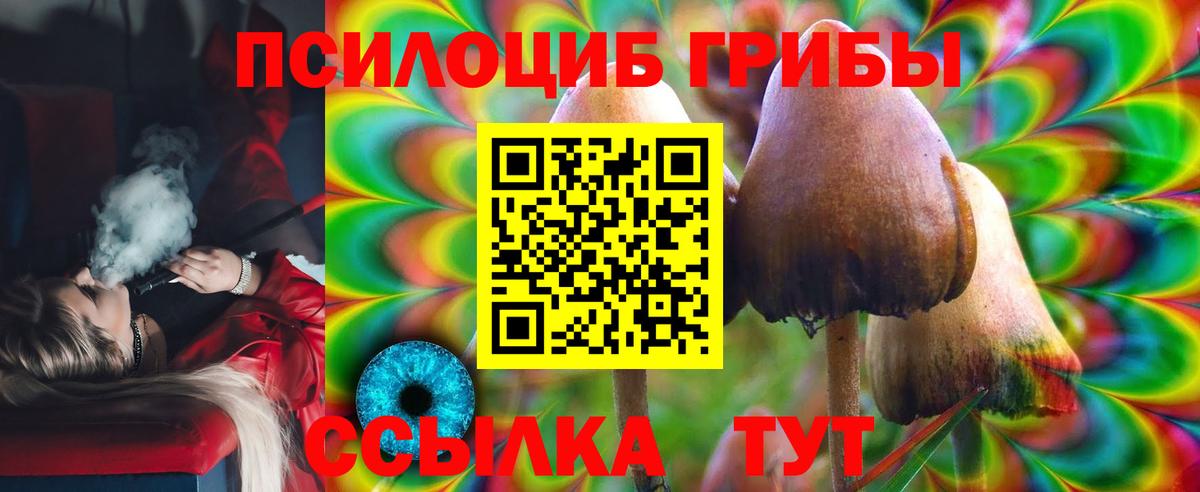 Галлюциногенные грибы Cubensis  Псилоцибиновые грибы Cubensis  Вход с VPN  Орёл 